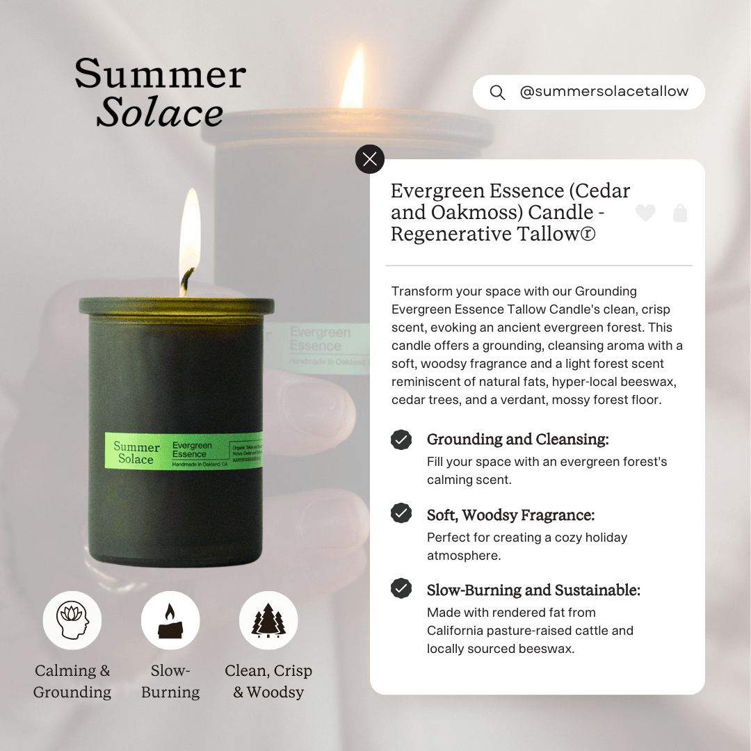 evergreen-essence-cedar-and-oakmoss-candle-regenerative-tallow-323057.png