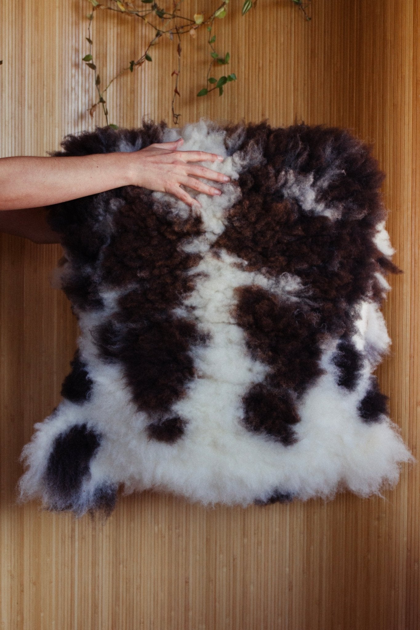 northern-california-climate-beneficial-sheepskins-154038.jpg