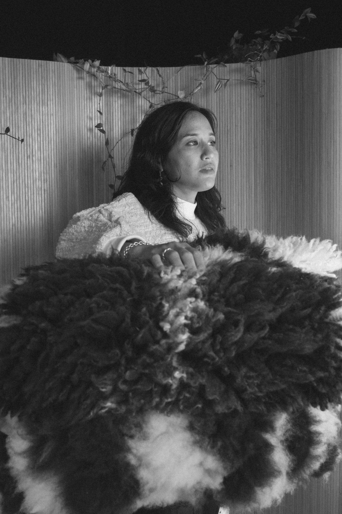 northern-california-climate-beneficial-sheepskins-448379.jpg