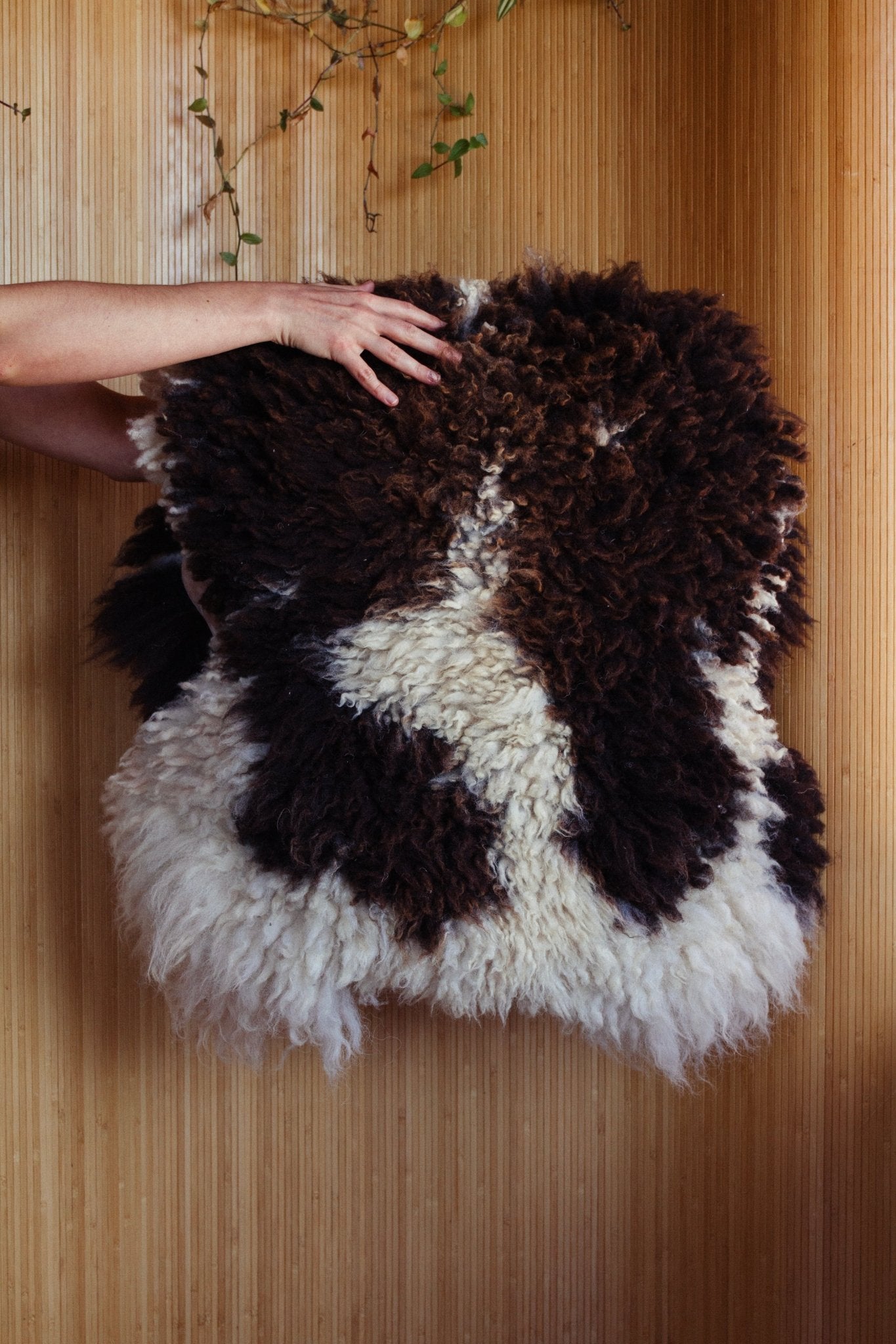 northern-california-climate-beneficial-sheepskins-589318.jpg