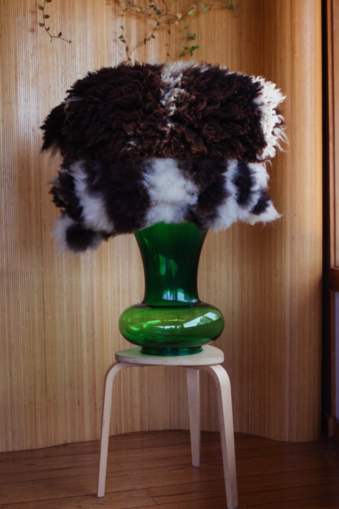 northern-california-climate-beneficial-sheepskins-957282.jpg