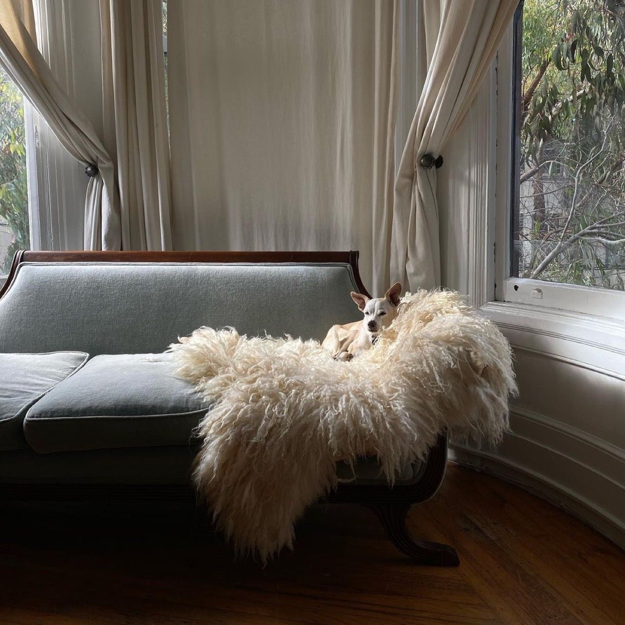 northern-california-climate-beneficial-sheepskins-957979.jpg