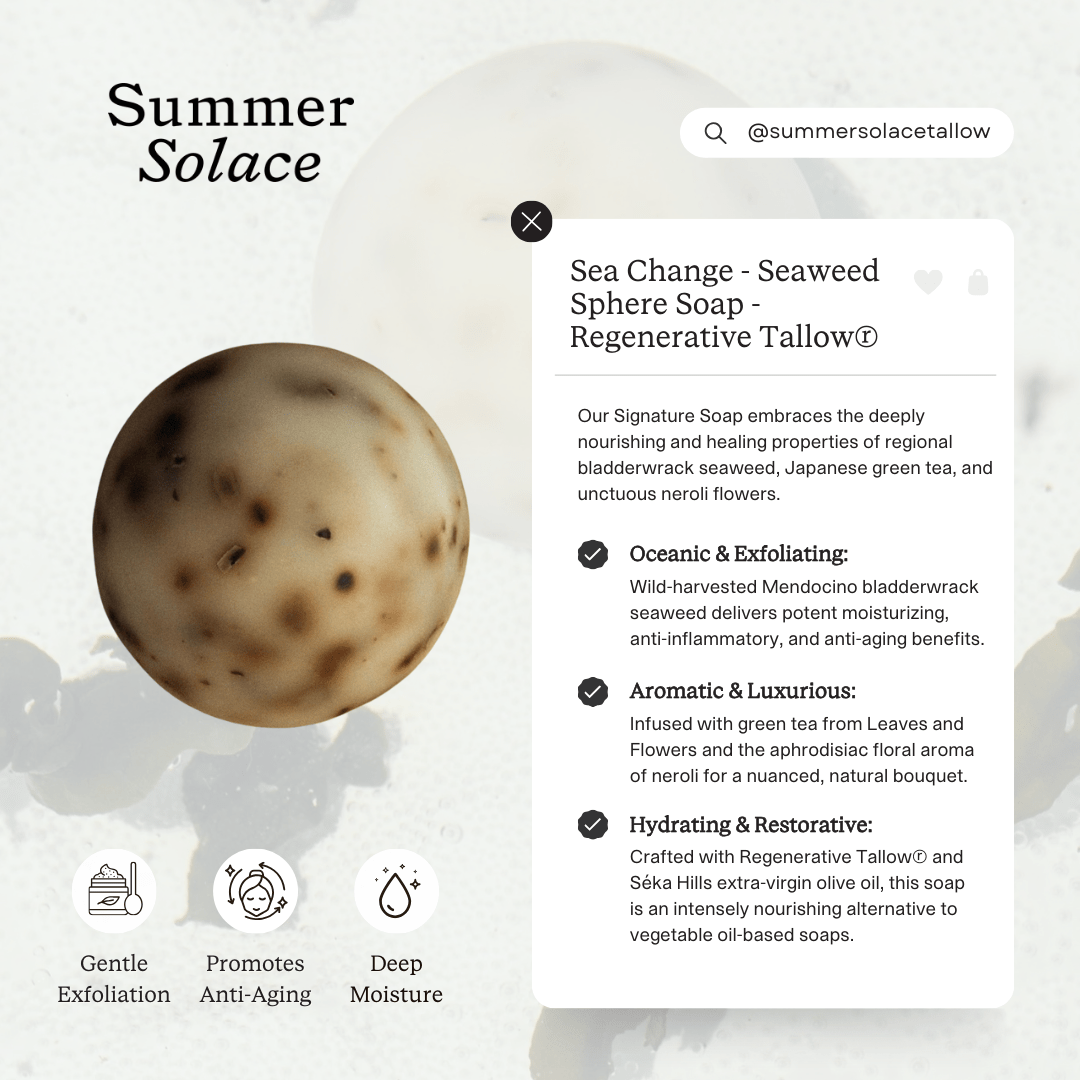 sea-change-seaweed-sphere-soap-bladderwrack-neroli-1630958.png