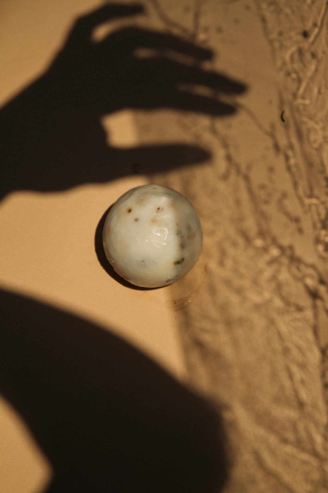sea-change-seaweed-sphere-soap-regenerative-tallow-391406.jpg