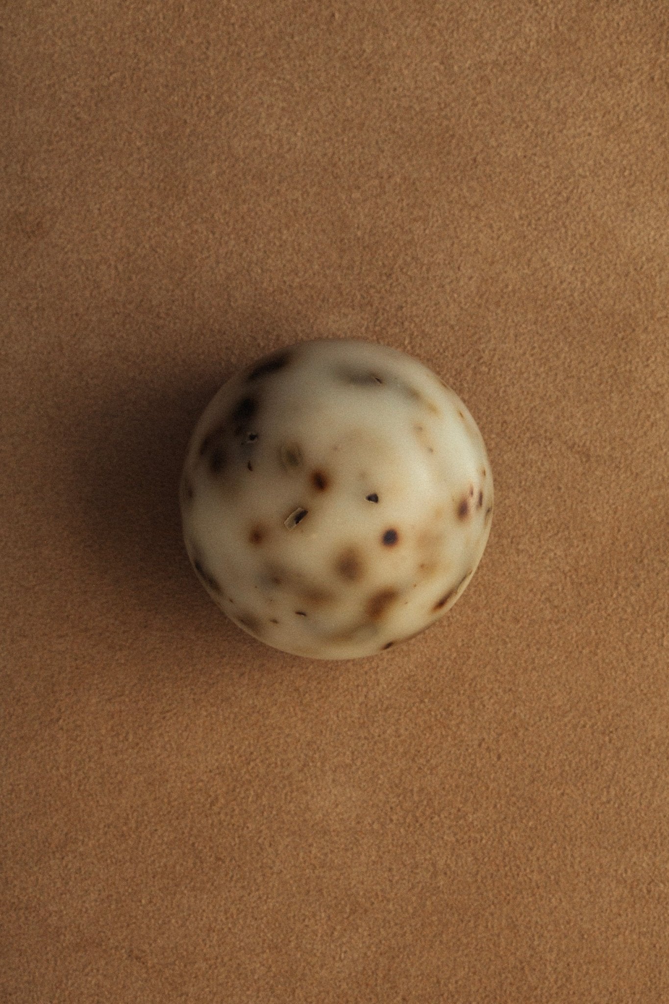 sea-change-seaweed-sphere-soap-regenerative-tallow-417840.jpg