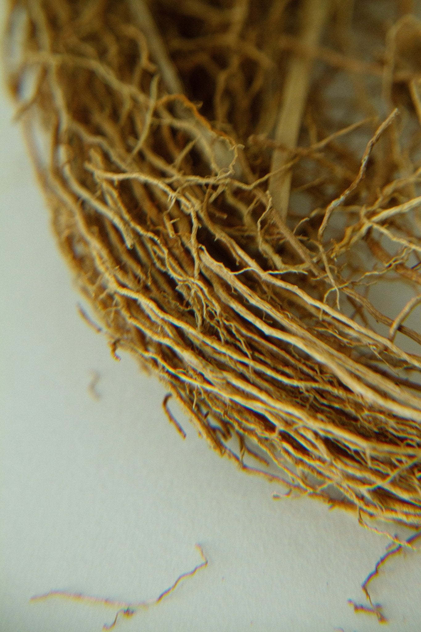 vetiver-sphere-soap-grounding-earthy-aromatic-cleanser-3590851.jpg